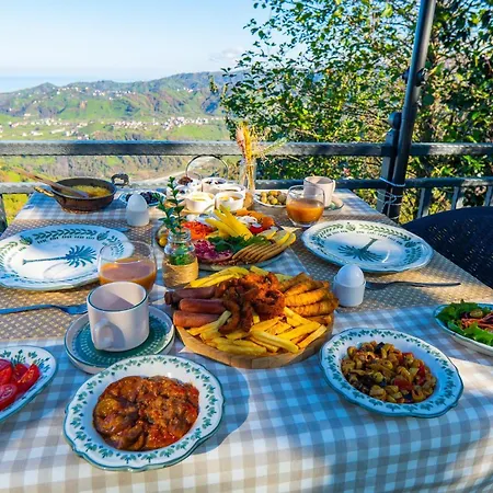 Woodlife Apartment Trabzon